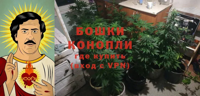 Бошки марихуана LSD WEED  хочу   Вытегра 